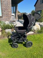 Kinderwagen / Buggy Kronan Sulky Nordfriesland - Husum Vorschau