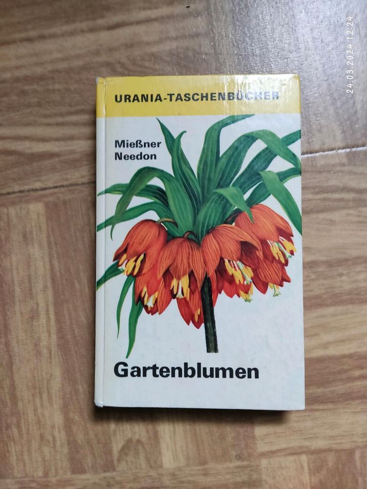 Taschenbuch Gartenblumen mießner needon 1975 in Bernsdorf