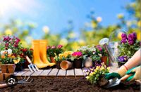 Suche Gartenhilfe, Hilfe bei Gartenarbeit Bayern - Pfreimd Vorschau