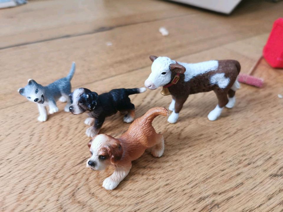 Schleich hunde kalb husky Hundehütte in Wermelskirchen