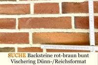 SUCHE Backstein Vischering bunt Dünnformat DLK Reichsformat Niedersachsen - Melle Vorschau