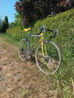 Stahlrenner Rennrad Motobecane Fahrrad Vintage Nordrhein-Westfalen - Fröndenberg (Ruhr) Vorschau