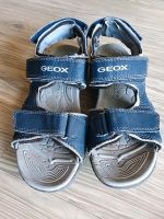 GEOX Sandalen in Gr. 31 - Top! Bayern - Partenstein Vorschau