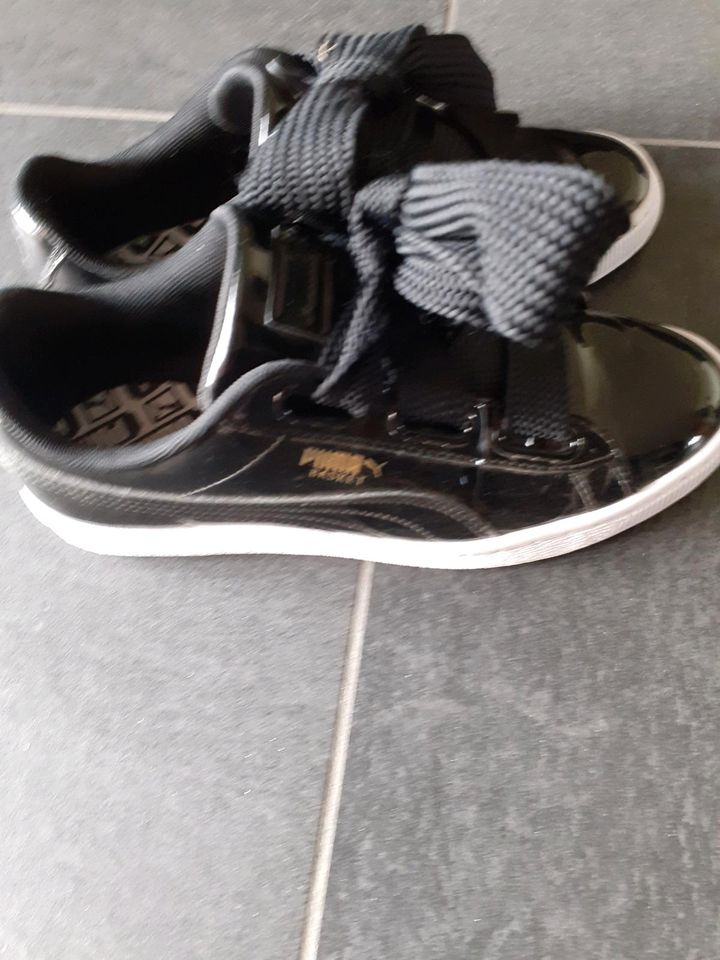 Puma sneaker damen in Brüggen