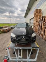 Mercedes ML 280 CDI W164 Schlachtfest Schleswig-Holstein - Hemmingstedt Vorschau