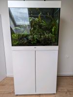 200L Juwel Aquarium Bayern - Geretsried Vorschau