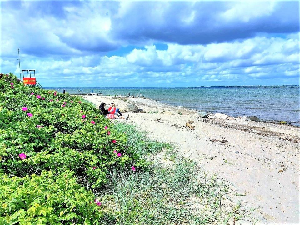 Ferienhaus Schiffsdeck in Langballig an der Ostsee 8 Personen 3 Schlafzimmer 2 Badezimmer 1 Gäste-WC TV Kaminofen Sonnenterrassen Strand Meer Fjord in Langballig