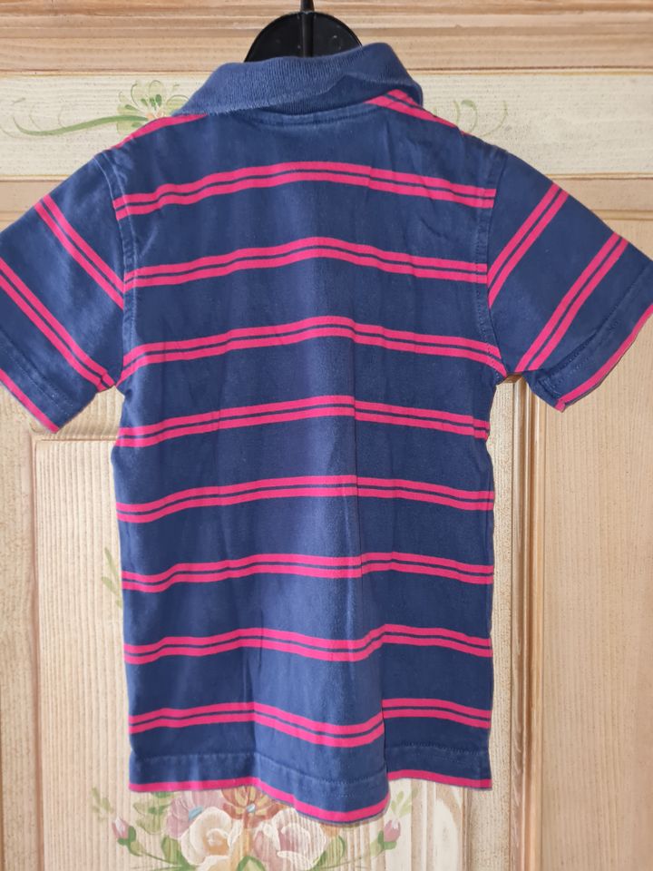 Jungen Poloshirt Gr.110,H & M Polo Shirt blau rot,TOP !!! in Neuwied