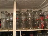 Einweckgläser, Einmachglas, 1,5 L und 1 L Hessen - Vellmar Vorschau