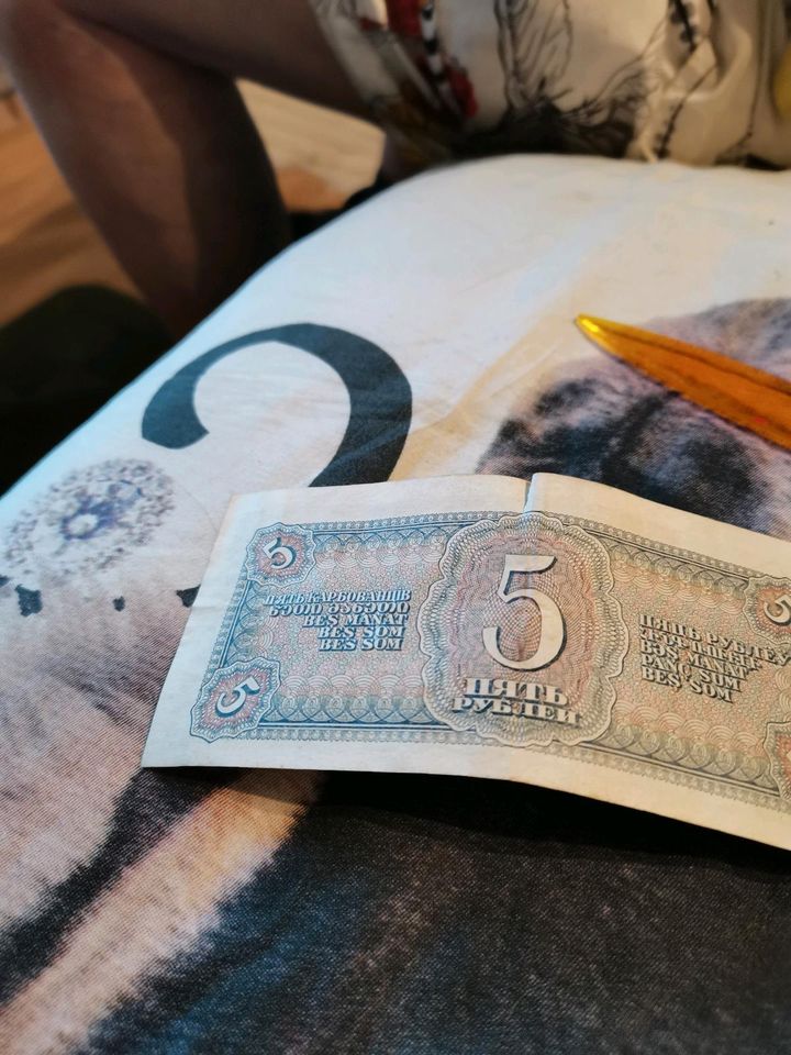 Verschiedene Währungen in Banknoten in Bodnegg