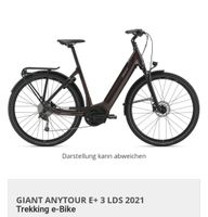 Giant Damen E-Bike Anytour E+3 LDS Schleswig-Holstein - Luschendorf  Vorschau