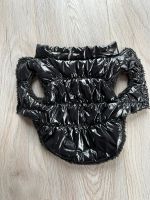 Hundejacke gesteppt schwarz Welpen Jacke welpenjacke Niedersachsen - Braunschweig Vorschau