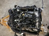 Ford Fiesta 1,5 EcoBoost YZJA Motor Triebwerk Engine Nordrhein-Westfalen - Dorsten Vorschau