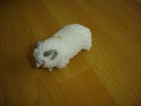 Dekoration Tiere Figur Schaf weiß Wolle ca.12 cm. Nordrhein-Westfalen - Sankt Augustin Vorschau