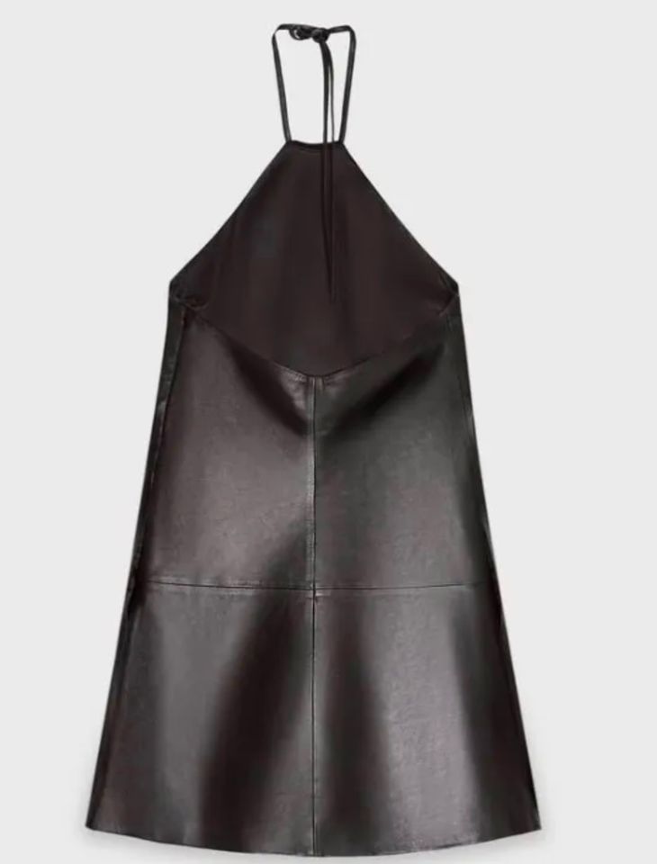 Zara-Steven Meisel Limited Edition,Lederkleid aus echtem Leder!Ne in Wiesbaden