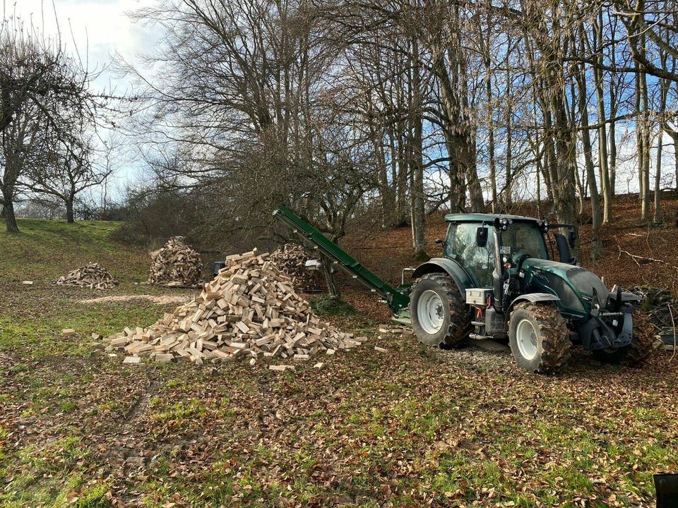 Lohnsägen, Brennholz Sägen, Posch Cutmaster 700 in Hettingen