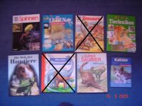 Kinderbücher -Paket 6 - 6 Bücher - Dinos, Saurier Tiere - Brandenburg - Trebbin Vorschau