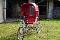 Fahrrad Rikscha Hochzeit Baden-Württemberg - Wildberg Vorschau