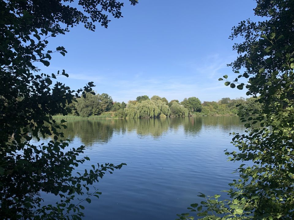 Baugrundstücke am See in Treuenbrietzen in Treuenbrietzen