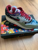 Nike Air Max 1 SP Concepts Mellow Neu Gr. EU 38 / US 5,5 Niedersachsen - Bruchhausen-Vilsen Vorschau