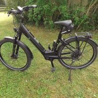 E-Bike Manufaktur 13ZEHN Wave (RH 50 cm) Bayern - Bad Windsheim Vorschau