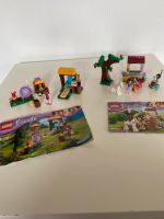 Lego Friends 41120  41003 Saarland - Homburg Vorschau