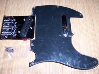 1 Set Tele Pickguard, Brücke mit PUs Nordrhein-Westfalen - Leichlingen Vorschau