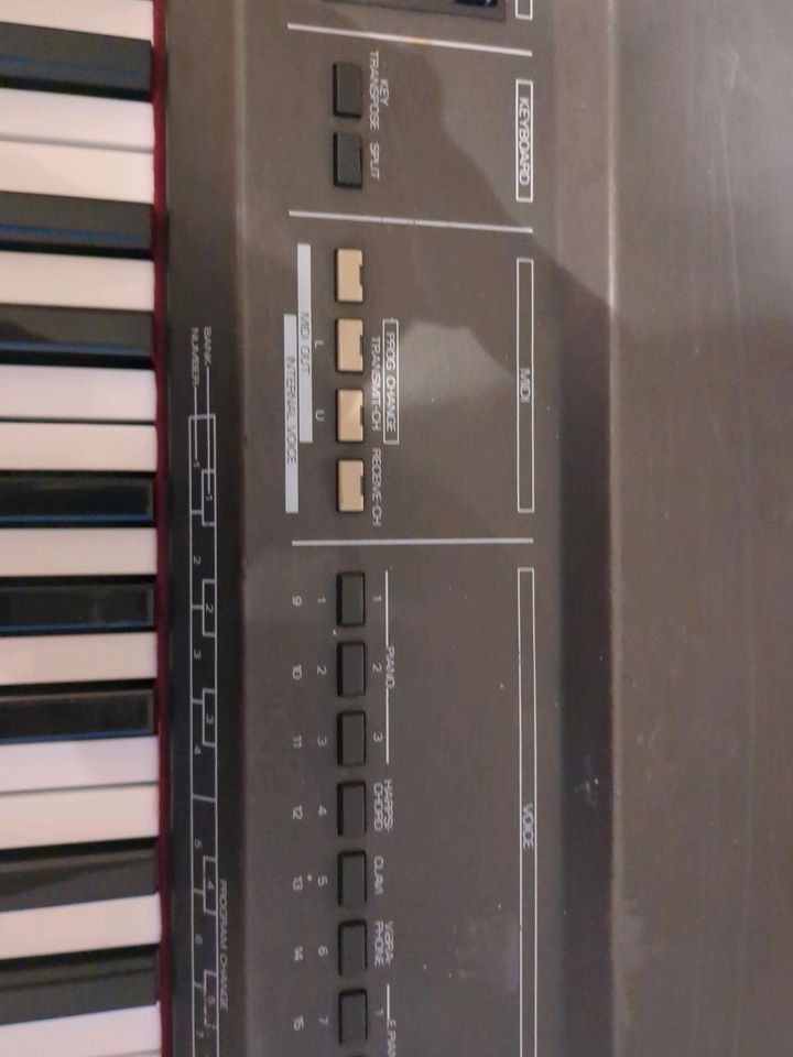 Roland Digital Piano RD-200 Klaviatur komplett überholt Top Sound in München