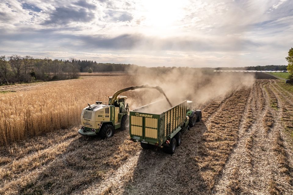 Miscanthus Pferde-Einstreu BigBag | STAUBARM | LIEFERDIENST in Swisttal