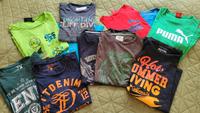 T-Shirts, Gr. M Bonn - Duisdorf Vorschau