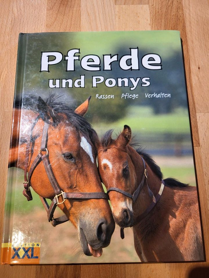 *Neuwertig* Pferdebücher in Haßfurt