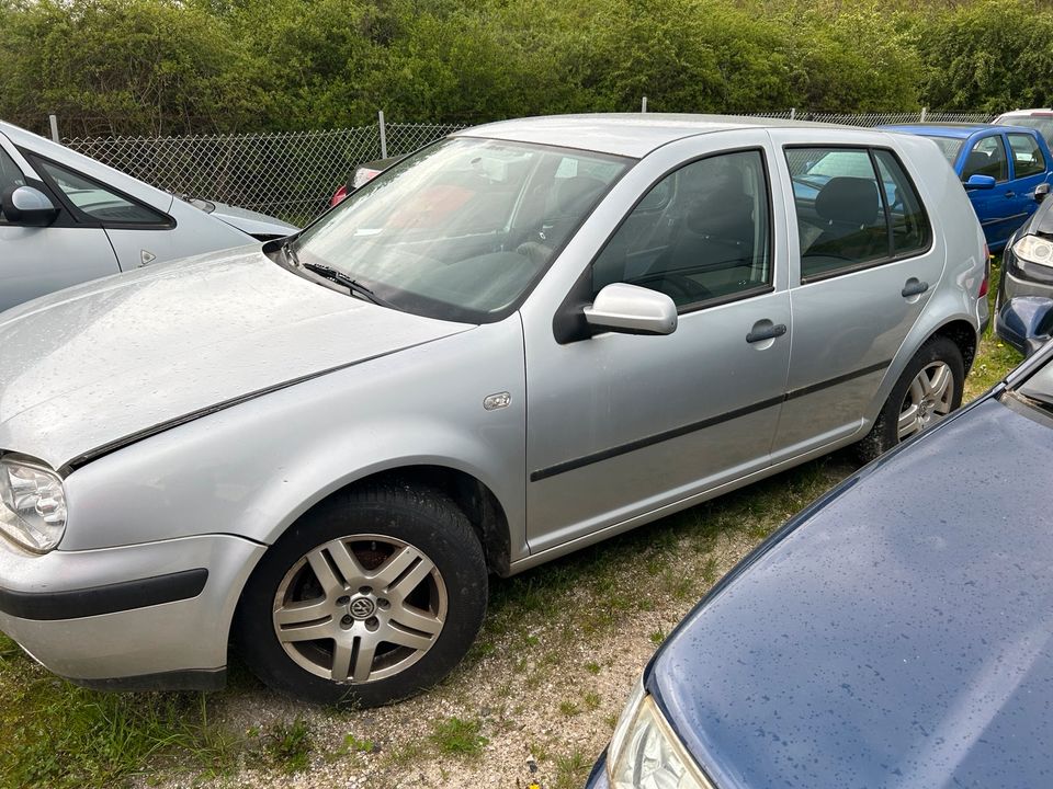 Vw Golf IV 1.4 16V AXP DUW LA7W Schlachtfahrzeug Teileverkauf in Idar-Oberstein