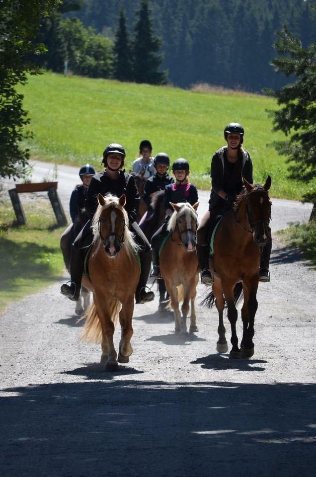 Ponyführen auf dem Reiterhof Finkenmühle in Weißenstadt