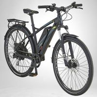 Prophete eSUV 22.EMS.10 E-Bike Niedersachsen - Hemsbünde Vorschau