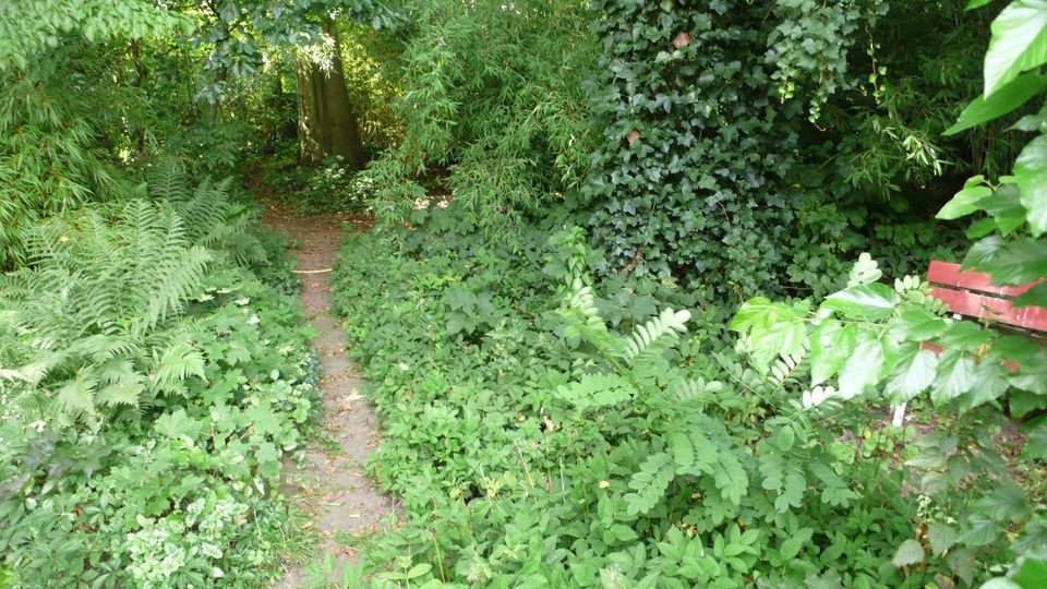 Außergewöhnliches Park Grundstück für großes EFH in Norderstedt in Hamburg