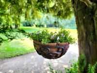 Blumenampel Pflanzampel Hängeampel Gusseisen Terrasse Gartendeko Baden-Württemberg - Sindelfingen Vorschau