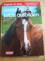 Junge Pferde selbst ausbilden - (L. Beerbaum Hrsg.) Falken Verlag Rheinland-Pfalz - Tawern Vorschau