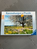 Ravensburger Puzzle 500 Teile Brandenburg - Neuruppin Vorschau