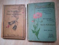 Gartenbuch,Bäume veredeln 1909+Pflanzenbuch 1900 Sachsen-Anhalt - Burg Vorschau