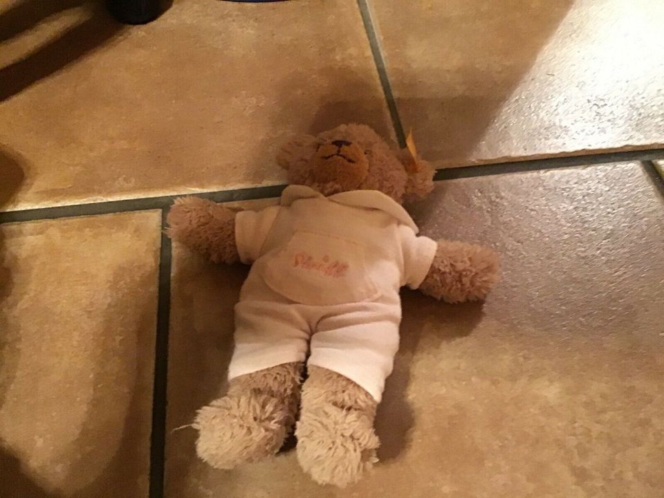 Steiff Teddybären  ab 5 Euro in Reppenstedt