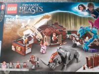 Lego Harry Potter fantastische tierwesen 75952 Nordrhein-Westfalen - Krefeld Vorschau