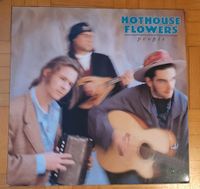 HOTHOUSE FLOWERS 3 Vinyl Platten, 2x LP, 1x Maxi 12inch Neustadt - Buntentor Vorschau