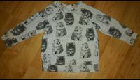 Grau festerer "H&M" Katzen Pullover Langarmshirt in 68 Bayern - Karbach Unterfr. Vorschau