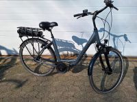 Victoria E - Bike Modell 3.1 Niedersachsen - Bad Bederkesa Vorschau