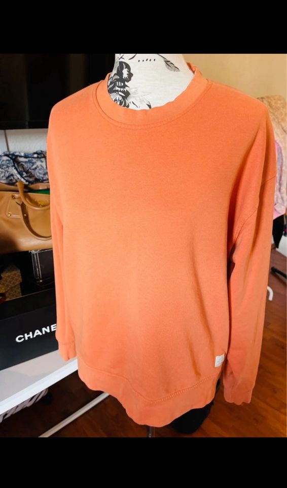 Signal Dänemark orange Biobaumwolle Sweater Hoodie L 40 in Kassel