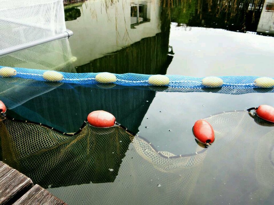 Zugnetz 10 x 2m, 7mm Maschen,schwarz, Karpfen,Forelle, Zander,Koi in Weiden (Oberpfalz)