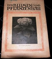 1926 Der blumen u. Pflanzenbau Brandenburg - Kremmen Vorschau