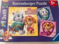 Ravensburger Puzzle PawPatrol 3x49 Teile Schleswig-Holstein - Rieseby Vorschau