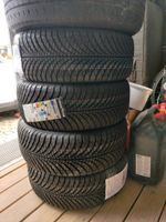 4x NEU Goodyear Vector 4 Seasons G2 195/55 R15 Ganzjahresreifen Hessen - Eichenzell Vorschau