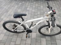 MTB Fahrrad Damen Bayern - Regenstauf Vorschau